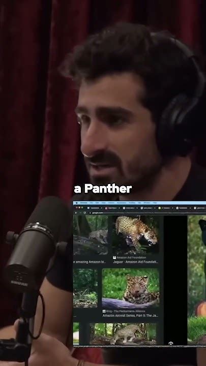 Introduction: Unveiling the Enigmatic Panther