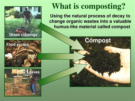 Introduction: Unveiling the Power of Mechanized Composting