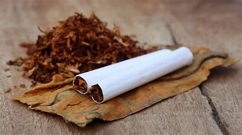 Introduction: Unveiling the Powerhouse of the Tobacco Industry