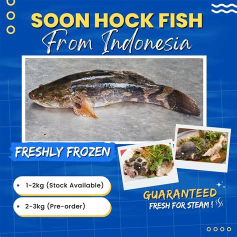 Introduction: Unveiling the Versatile Soon Hock Fish