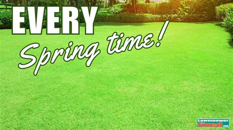 Introduction: Why Fertilizing New Lawns Matters