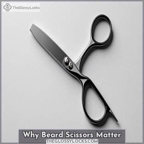 Introduction: Why Grooming Scissors Matter