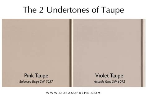 Introduction: Why Taupe Matters