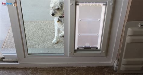 Introduction: Why a Glass Slider Doggie Door Matters