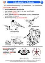 Introduction To Animals Worksheet Answer Doc