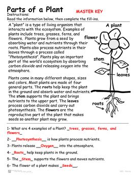 Introduction To Plants Answers Epub