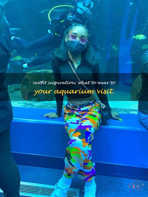 Introduction to Aquarium Outfits