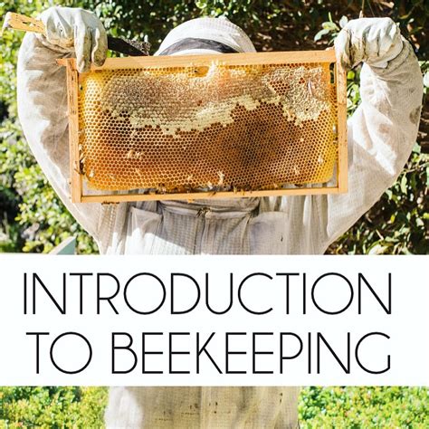 Introduction to Bee Keeping Reader