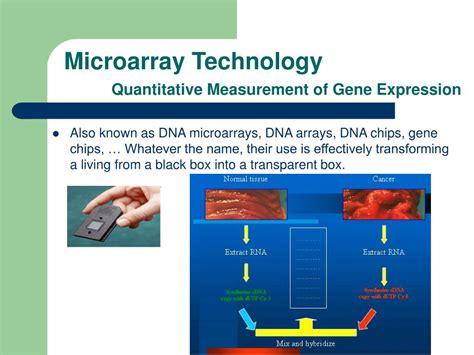 Introduction to Bioinformatics and Microarray Technology PDF