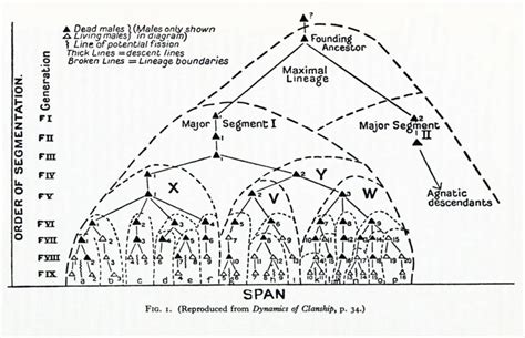 Introduction to Clan Dynamics