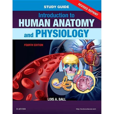 Introduction to Human Anatomy and Physiology PDF
