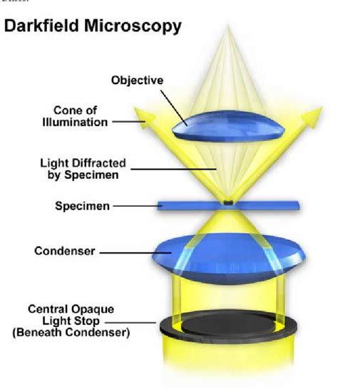 Introduction to Optical Microscopy Epub