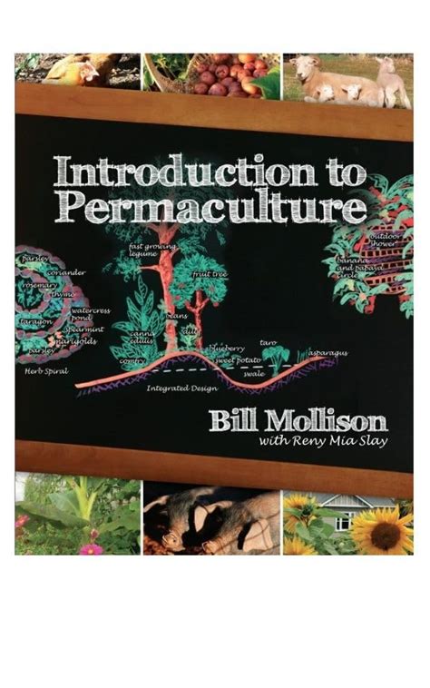 Introduction to Permaculture Ebook Ebook Reader