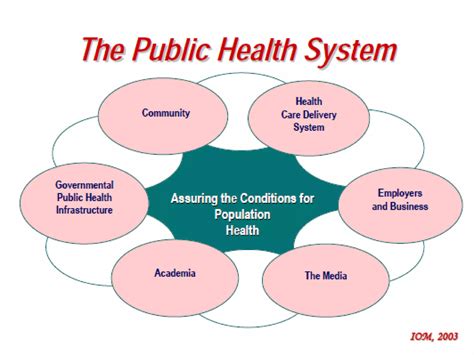 Introduction to Public Health PDF