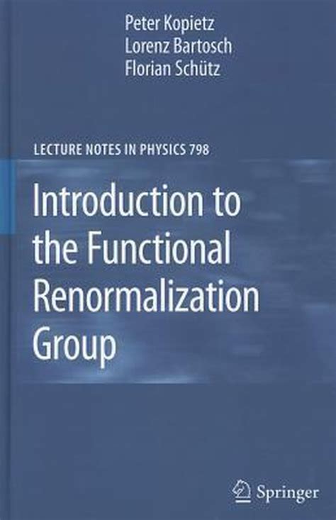 Introduction to the Functional Renormalization Group Epub