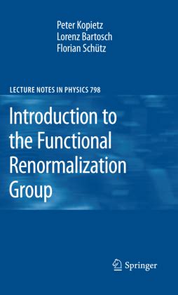 Introduction to the Functional Renormalization Group Epub