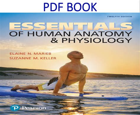 Introduction to the Human Body, Illustrated Notebook The Essentials of Anatomy and Physiology 7th Ed Epub