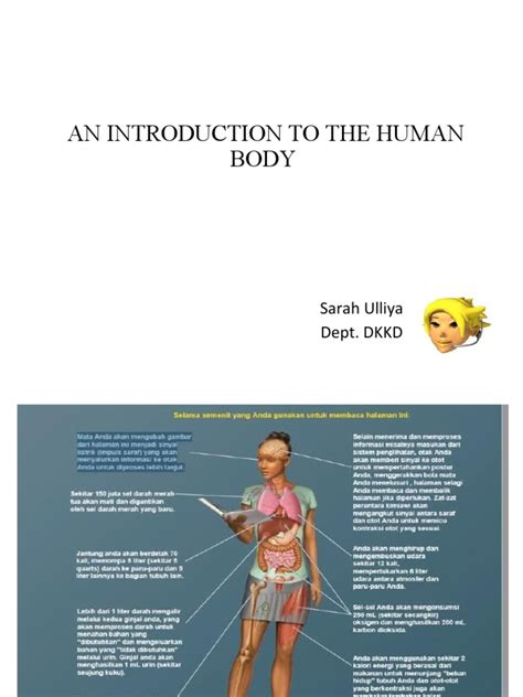 Introduction to the Human Body High School 3 Year Subscription Wiley Plus Products Epub