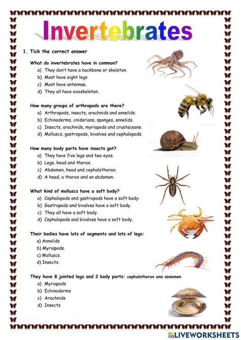 Invertebrate Classification Answer Sheet PDF