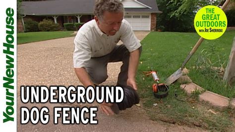 Invisible Dog Fence Wire: Unveil the Ultimate Pet Containment Solution