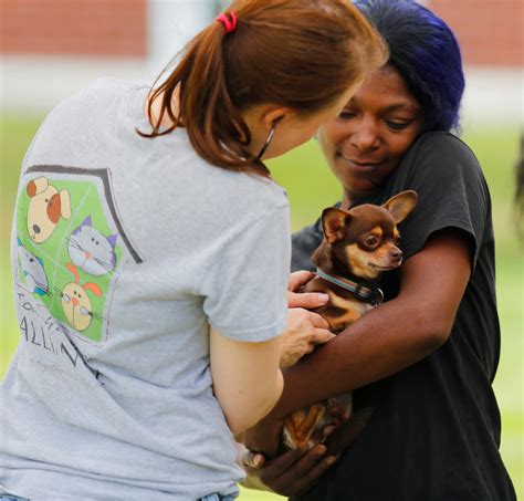 Iowa Humane Alliance Cedar Rapids: A Haven for Homeless Pets