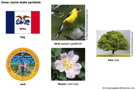 Iowa State Symbols: