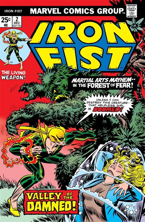 Iron Fist 1975-1977 Issues 15 Book Series Reader