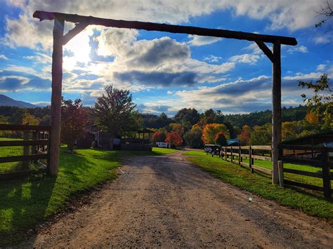 Iron Mountain Horse Camp: Your Gateway to Equestrian Adventures