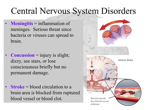 Iron in Central Nervous System Disorders Reader