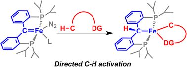 Iron-Carbene Complexes Examples from Hebei-Province, NE China Kindle Editon