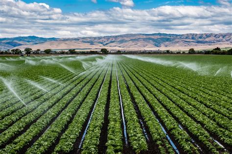 Irrigation PDF