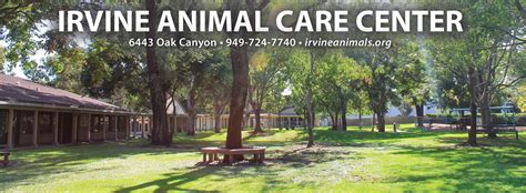 Irvine Animal Care Center Irvine CA: Your Comprehensive Guide to Pet Care in Irvine