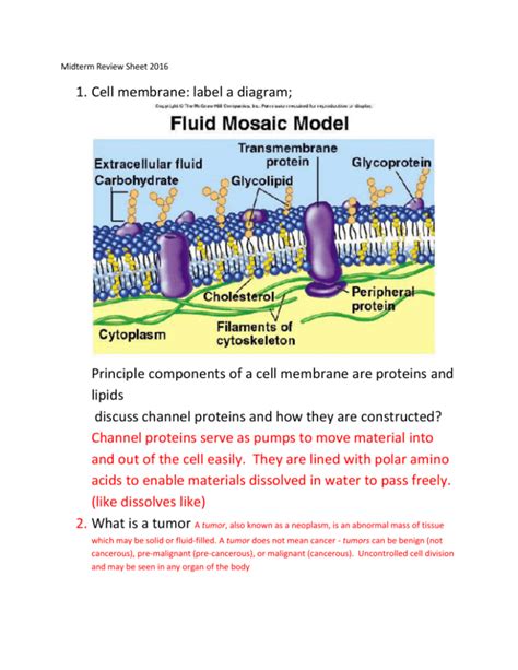 Is Euthanasia Ethical Schoolworld An Edline Solution Epub