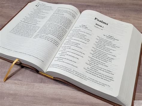 Is the Berean Study Bible a Reliable Resource? An In-Depth Analysis