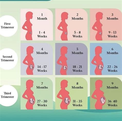 Isabela's Pregnancy Journey