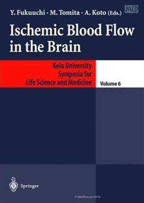 Ischemic Blood Flow in the Brain 1st Edition Doc