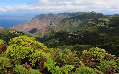 Isla de Santa Helena: A Historical Haven of Biodiversity, Exile, and Endurance