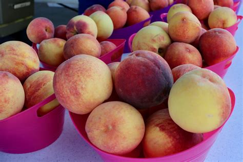 Island Peach: The "King of the South"