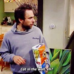 It's Always Sunny in Philadelphia: Cat in the Wall