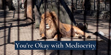 It's Just Okay: The Importance of Mediocrity in Innovation