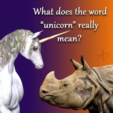 It's a Dream Come True: 2,500 Words on Unicorns!