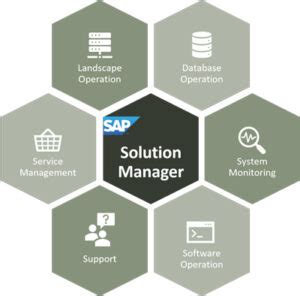 It Project Management With Sap Solution Manager Sapsa Epub