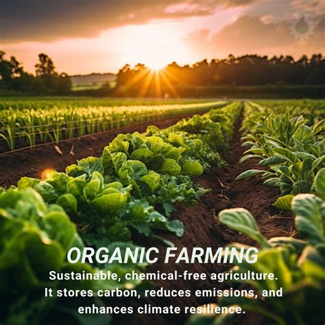 It is organic and sustainable.