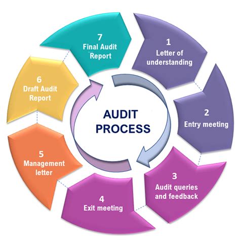 It provides detailed information on the audit process.