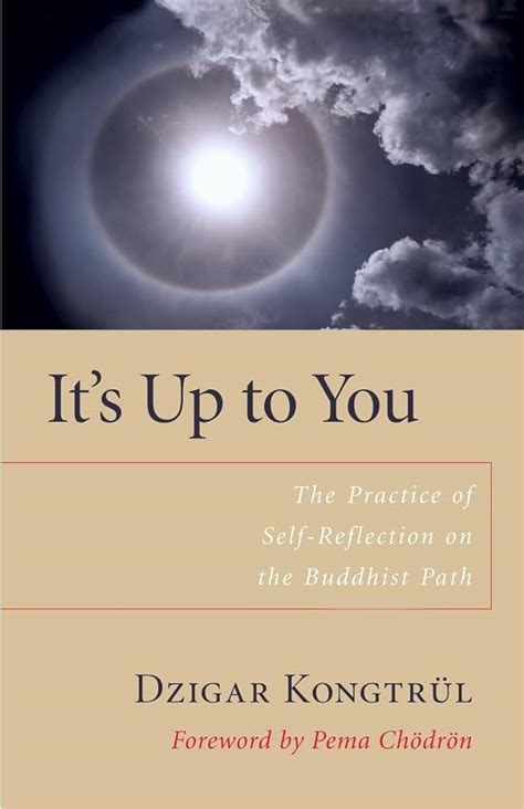 It s Up to You The Practice of Self-Reflection on the Buddhist Path PDF