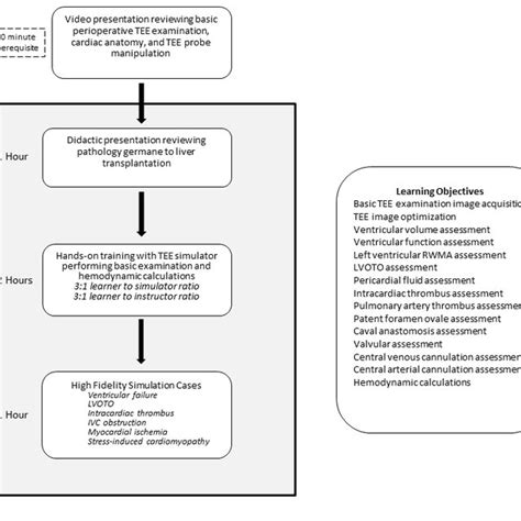 Ivc Course Catalogue