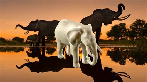 Ivory Mayhem: Unraveling the Crisis and Exploring Innovative Solutions