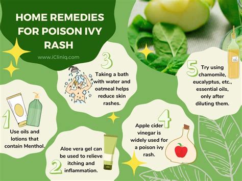 Ivy's Revenge: A Comprehensive Guide to Ivy Poison and Its Treatment