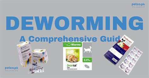 Izzyverm: A Comprehensive Guide to Pet Deworming