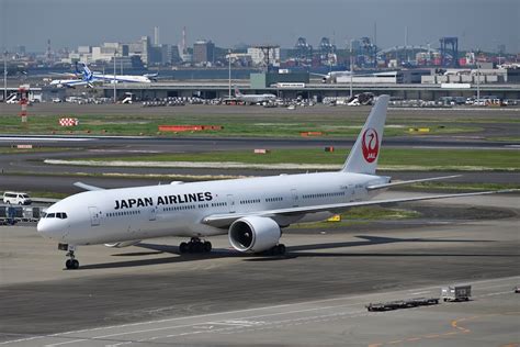 JAL国内線無料航空券：夢をかなえる必勝ガイド